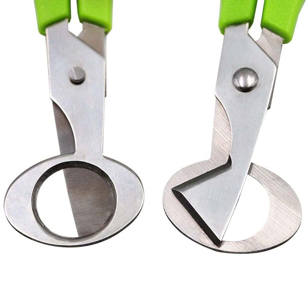 3 Stuks Kwarteleitje Cutter Sc - Kitchen Shears In Baking recensie en prijs