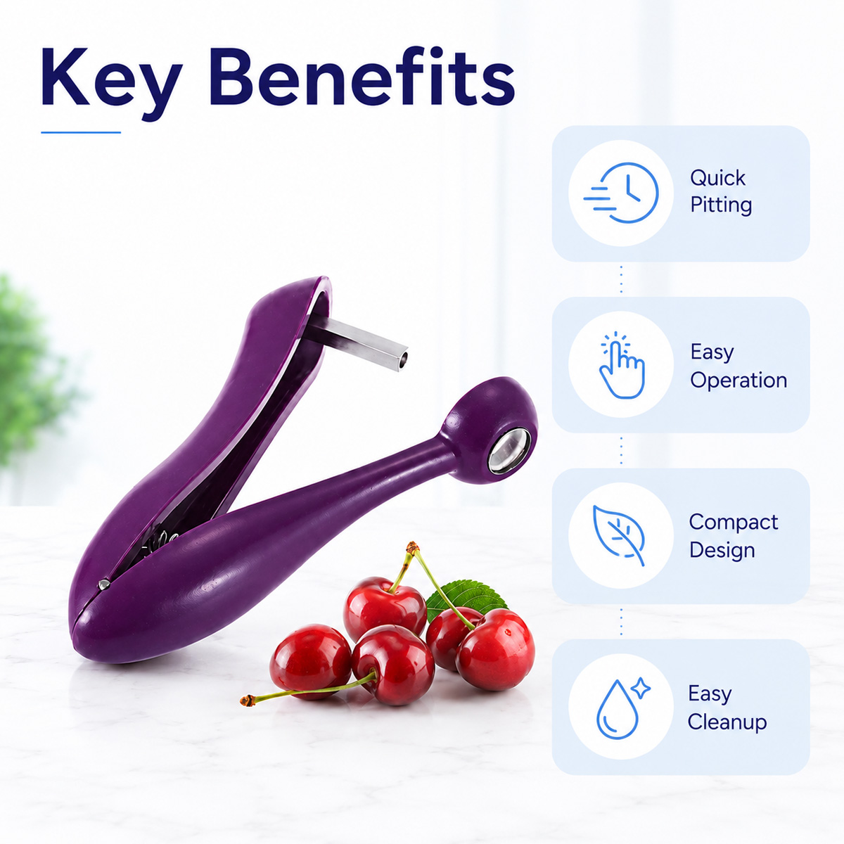 Handmatige kersenontpitter en  - Kitchen And Baking Tools recensie en prijs