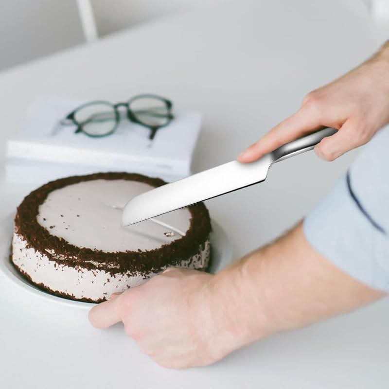 Duurzame roestvrijstalen taart - Kitchen And Baking Equipment recensie en prijs